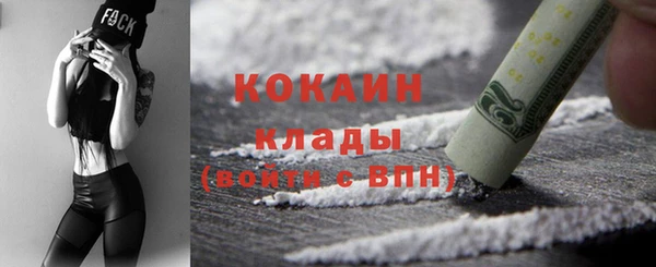ПСИЛОЦИБИНОВЫЕ ГРИБЫ Няндома