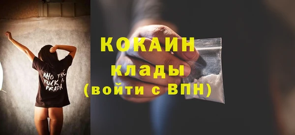 a pvp Новозыбков